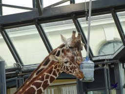 Tiergarten Schönbrunn am 24.02.2026